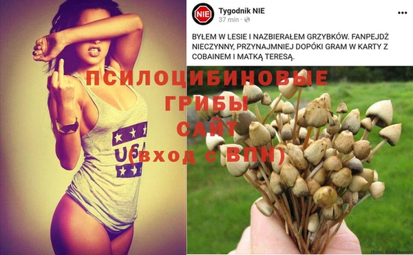 экстази Баксан