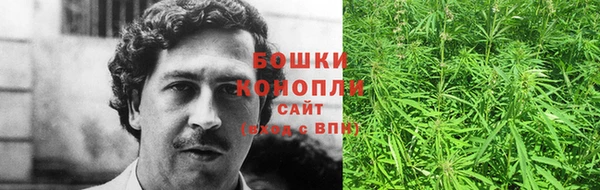 ГАЛЛЮЦИНОГЕННЫЕ ГРИБЫ Балахна