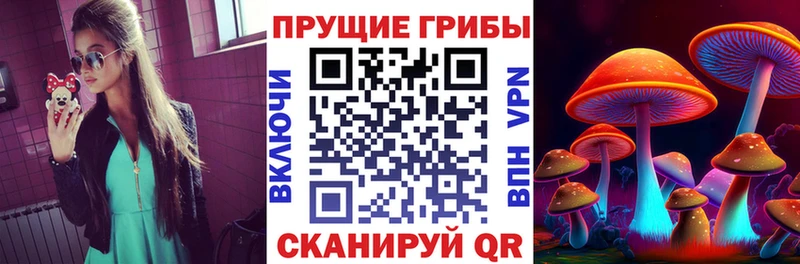Галлюциногенные грибы GOLDEN TEACHER  купить наркотик  Вытегра 