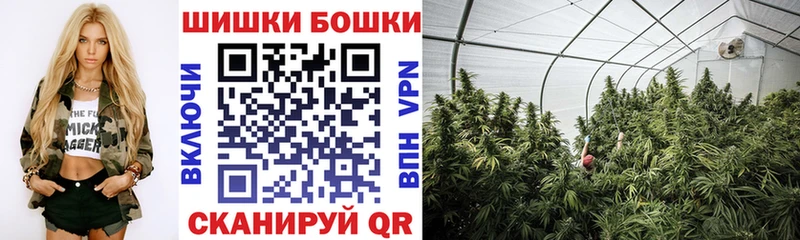 Бошки марихуана White Widow  Вытегра 